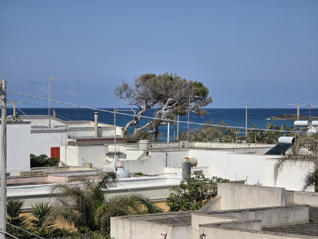 Giano Group Immobiliare